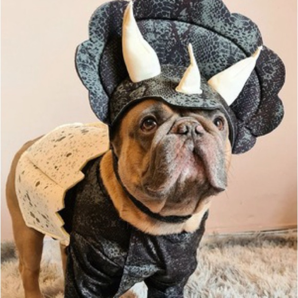 NEW Stegosaurus Dino Pup Pet Costume
